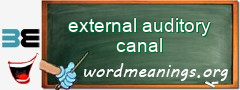 WordMeaning blackboard for external auditory canal